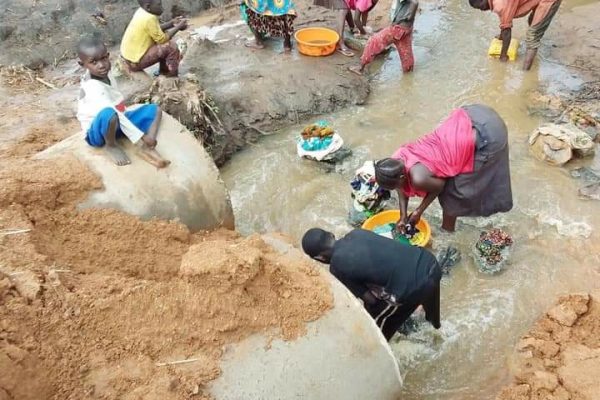 IMG-20240218-WA0034 (1)